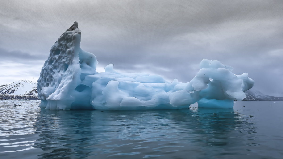 айсберг среднего размера - Георгий А