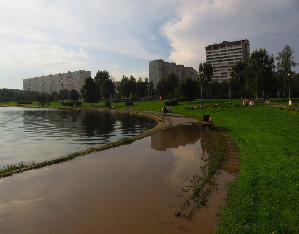Гольяновский пруд и его небольшой филиал, или Раскинулось море ширОко - Андрей Лукьянов