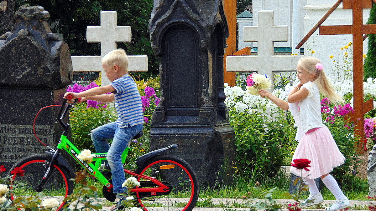 Вечное движние жизни ,,, - Любовь 