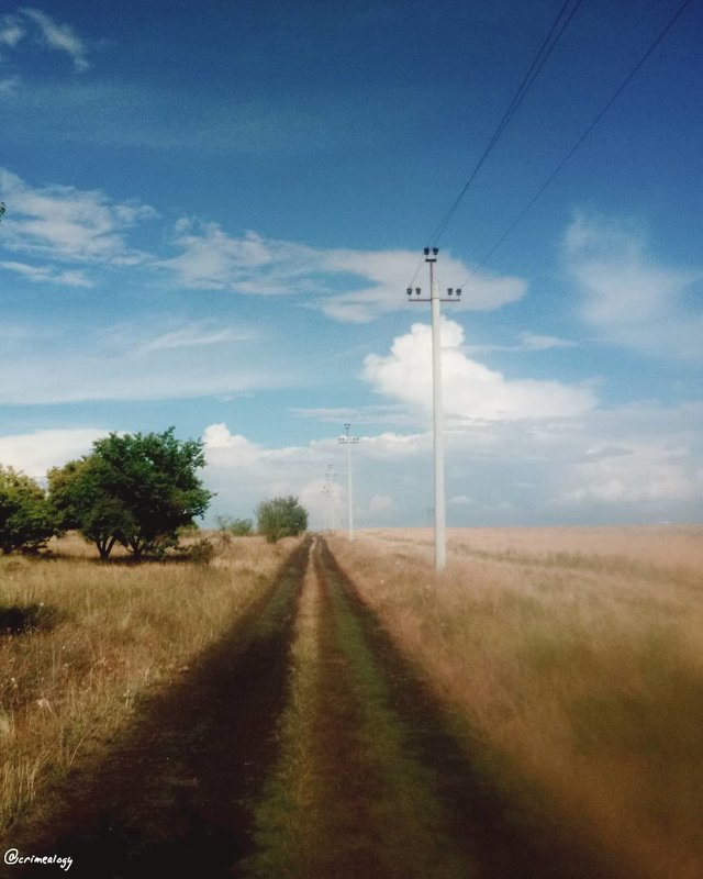 После дождя... Крымская степь... After the rain... The Crimean steppe... - Сергей Леонтьев