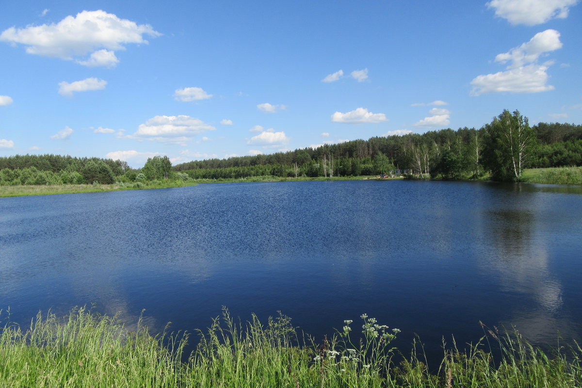 Летом на озере - Mariya laimite