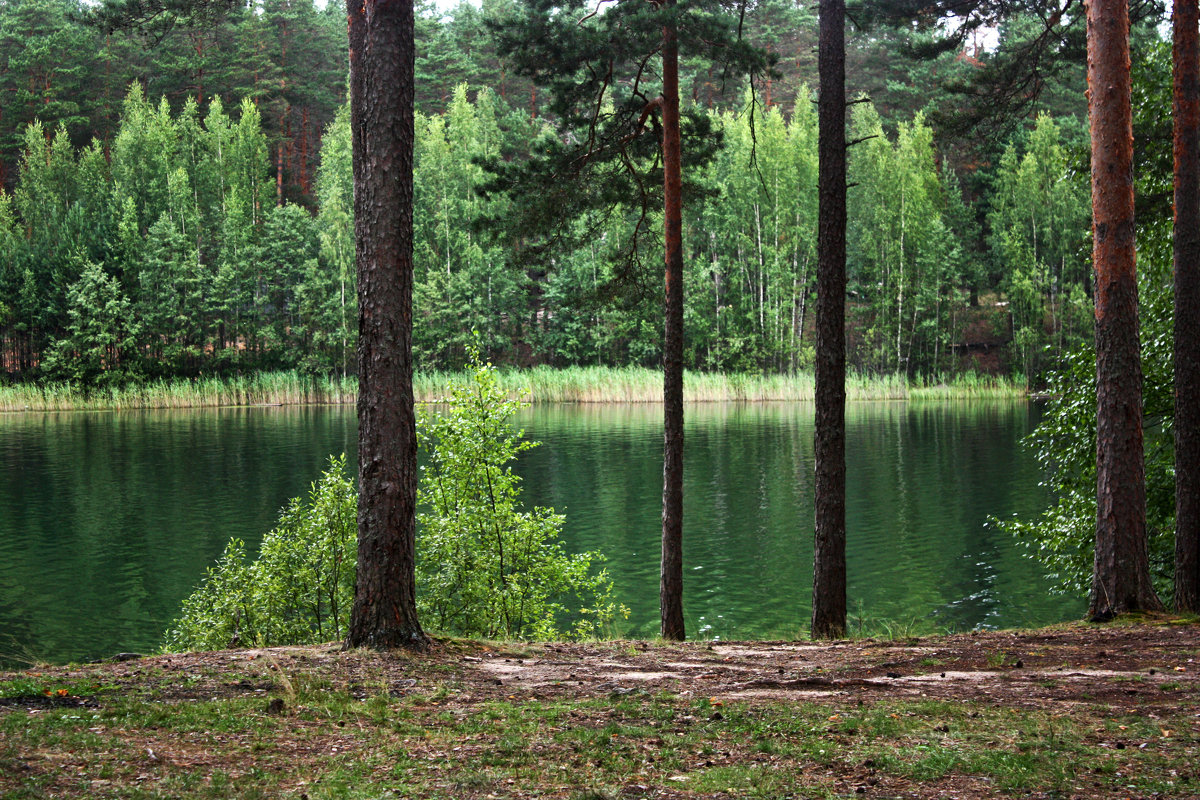 Озеро Зелёное - Ирина Румянцева