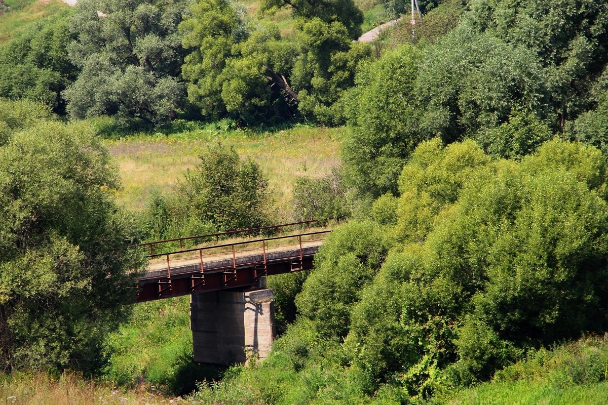 Мост через речку Лопасня - Надежд@ Шавенкова