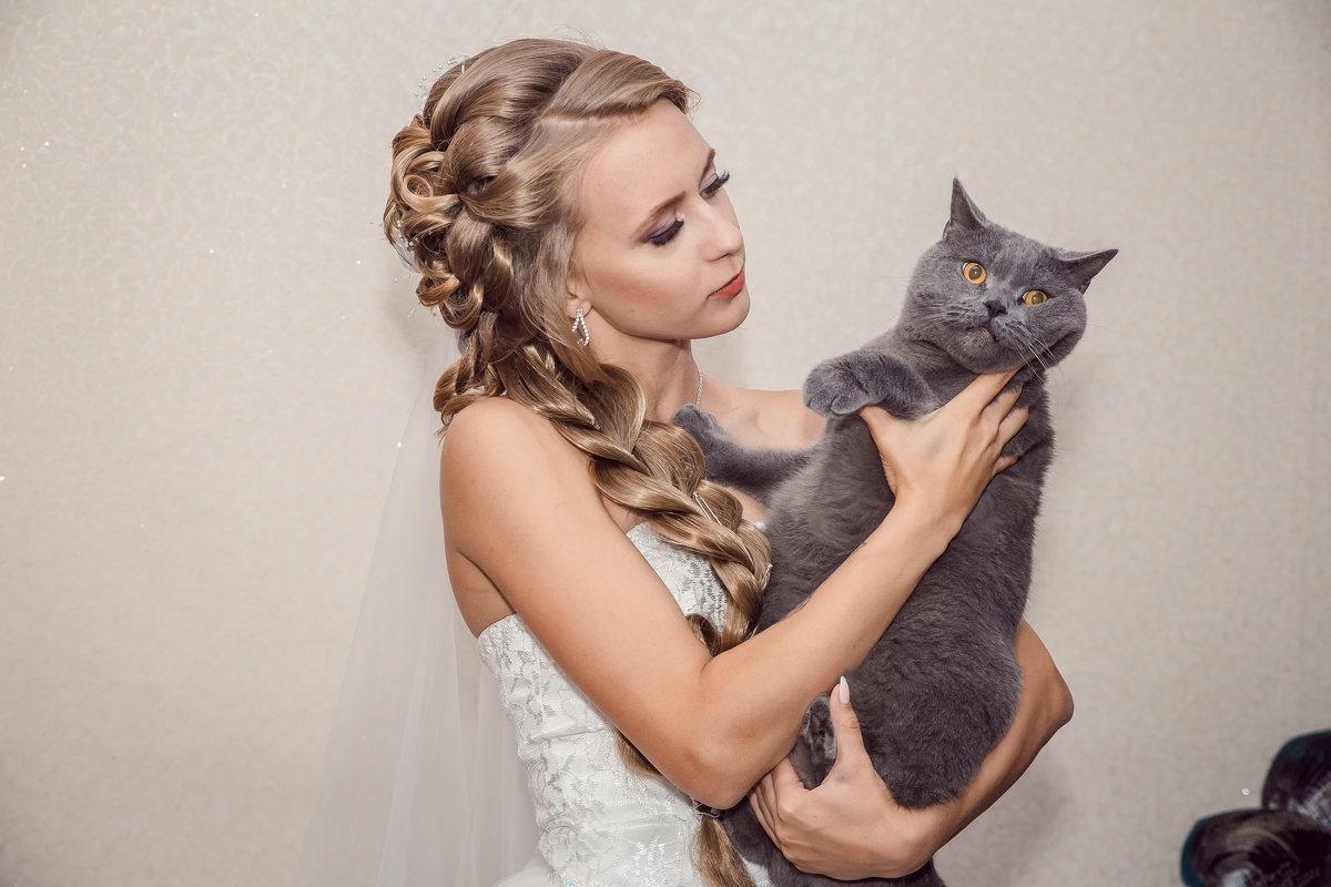 кот невесты - Ольга Кошевая