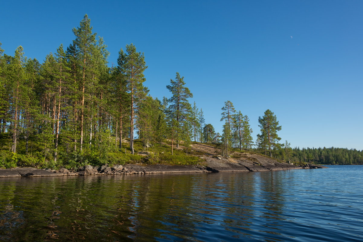 Энгозеро песчаный берег Карелия