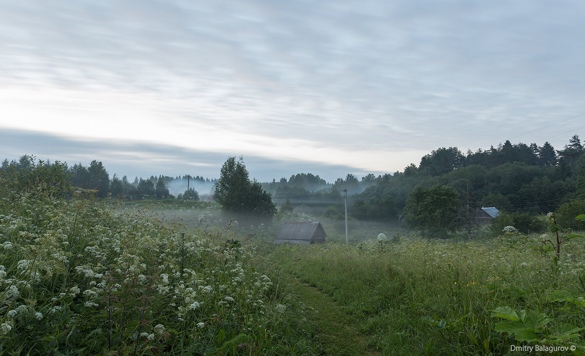 Туман в деревне - Дмитрий Балагуров