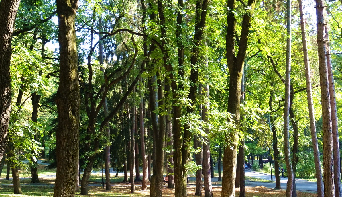 Кисловодск. Парк - татьяна 