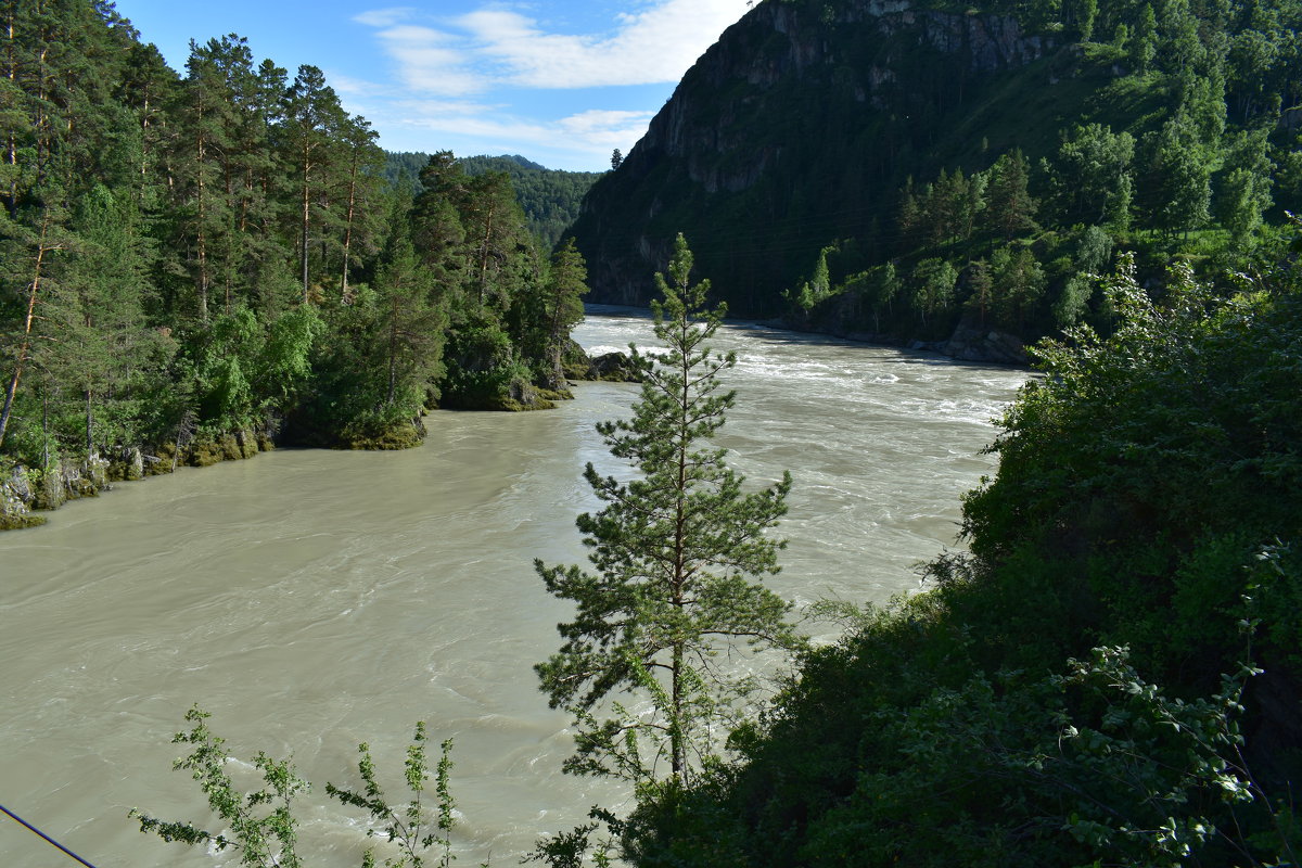 Река Катунь - Nina Streapan