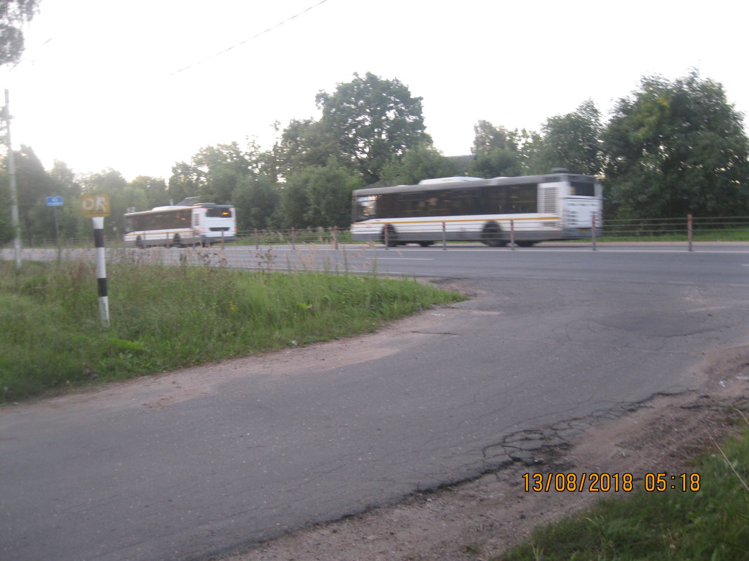 два автобуса - Smit Maikl 