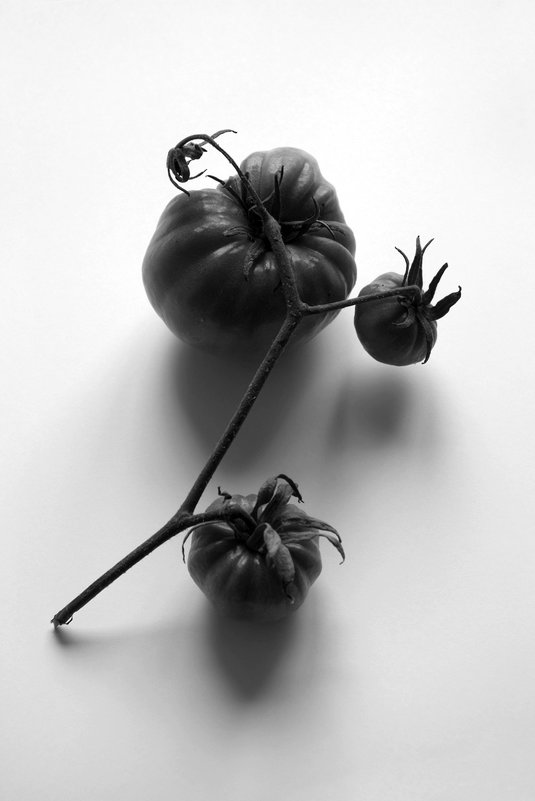 Черный помидор на белом фоне - Евгений Мельников
