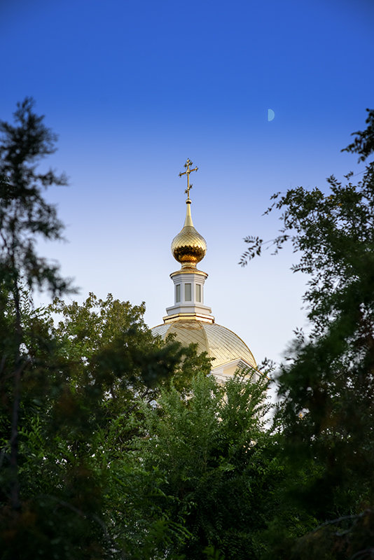 Никольский кафедральный собор в Камышине - Игорь Денисов