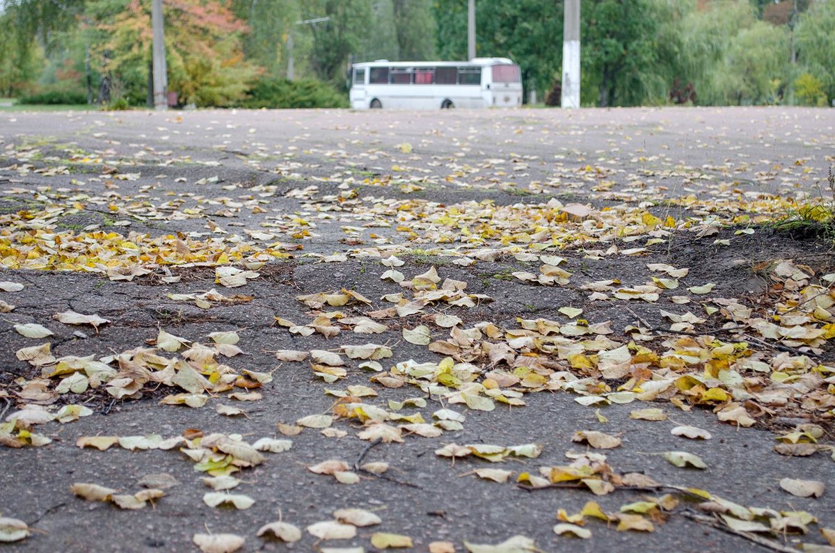 Листопад - Сергей Тарабара