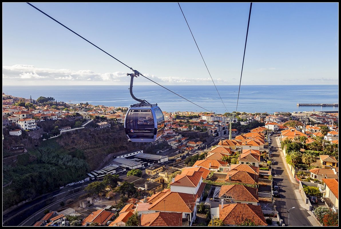 Madeira,  collection 2015. - Jossif Braschinsky