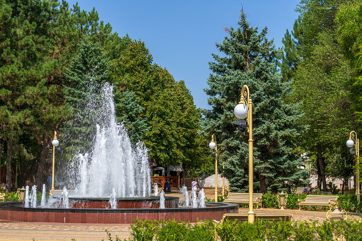 В городском парке - Игорь Сикорский