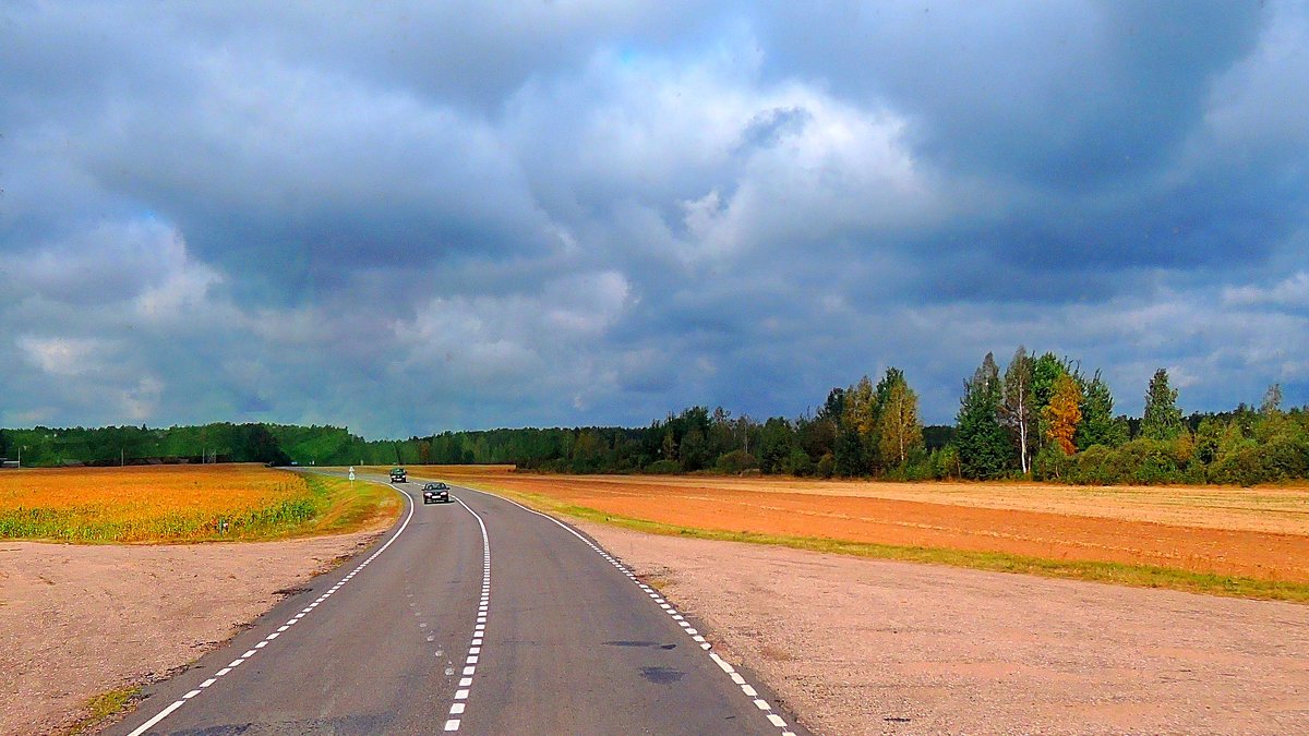 Дорога - Александр Сапунов