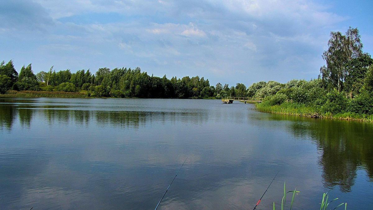 Озеро в деревне Зубревичи - Виталий Андрейчук