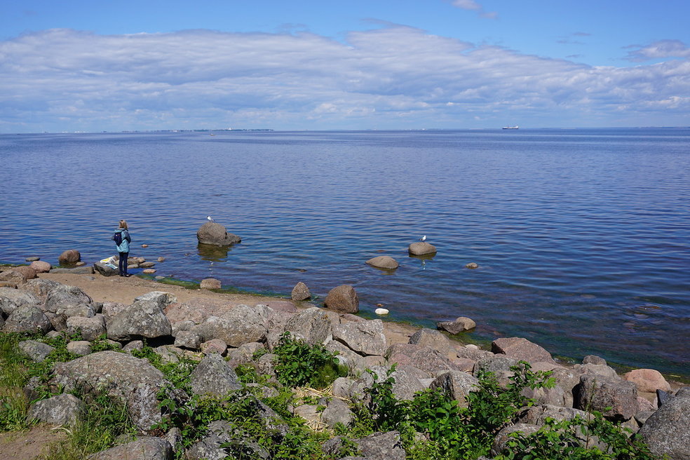 Берег Финского залива - Ольга 
