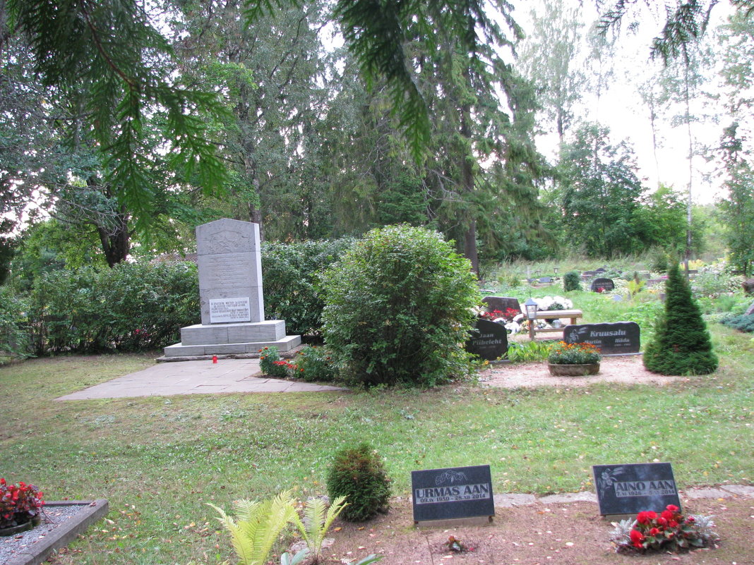Кладбище в Эстонии - Владислав Плюснин