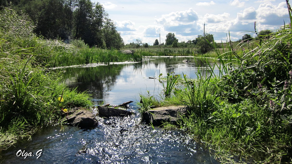 Река Бродовка - OLLES 