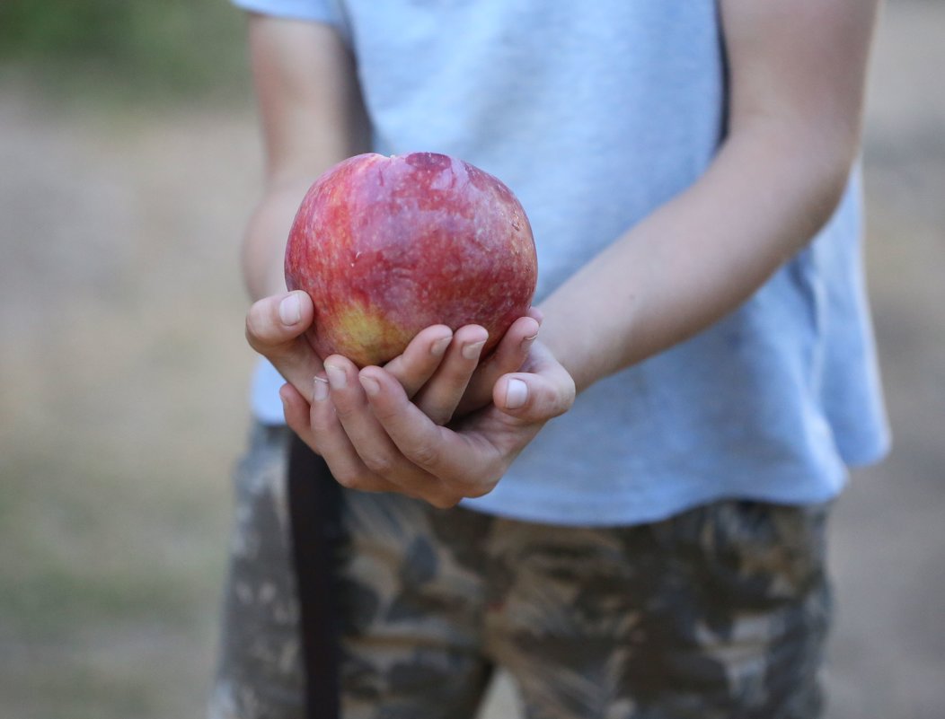 Большое яблоко - ZNatasha -