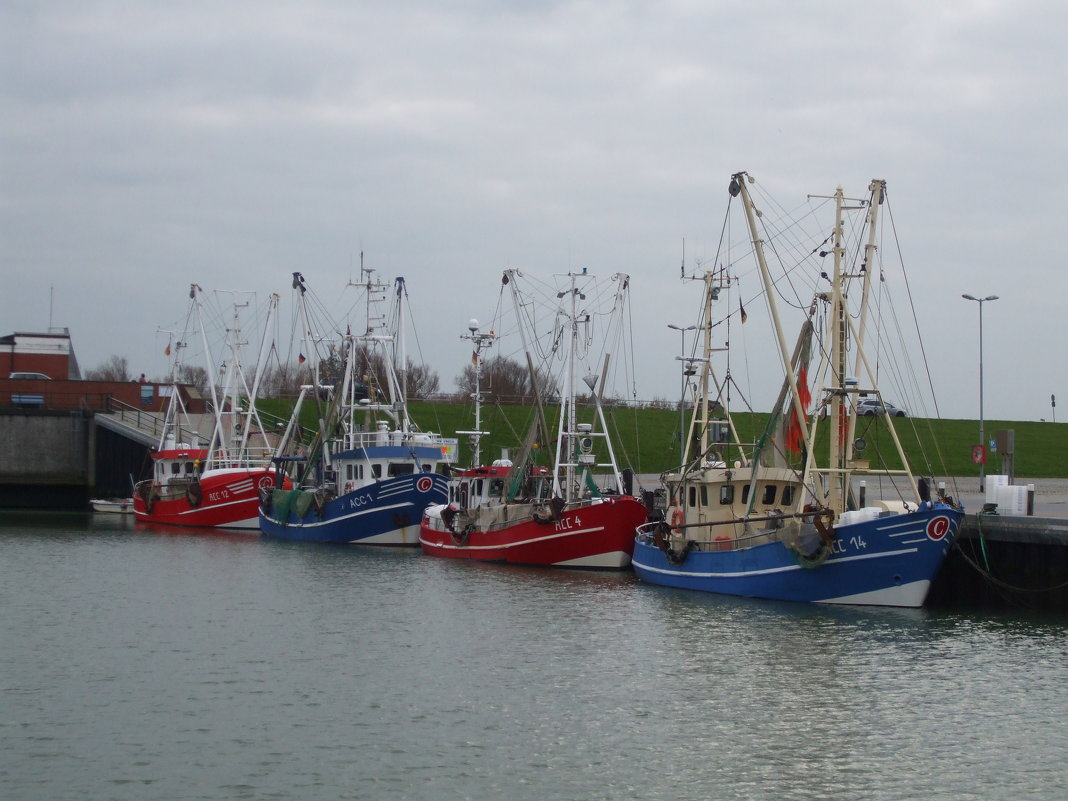 Nessmessiel Hafen - Rita 