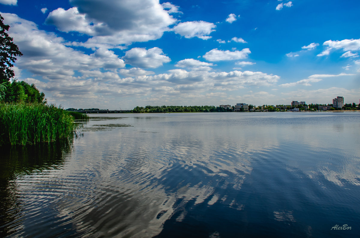 ... - Алексей Бортновский