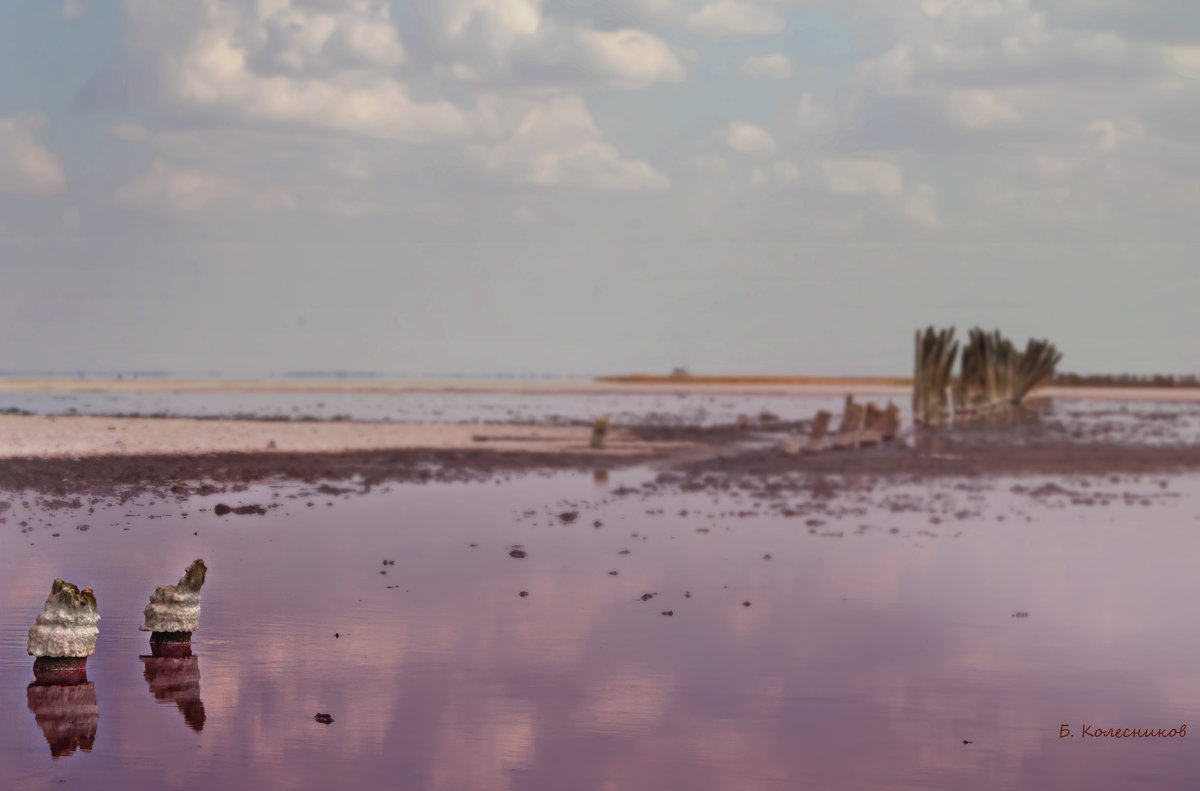 "Мертвое море" Крыма. Розовое озеро Сассык Сиваш - BD Колесников