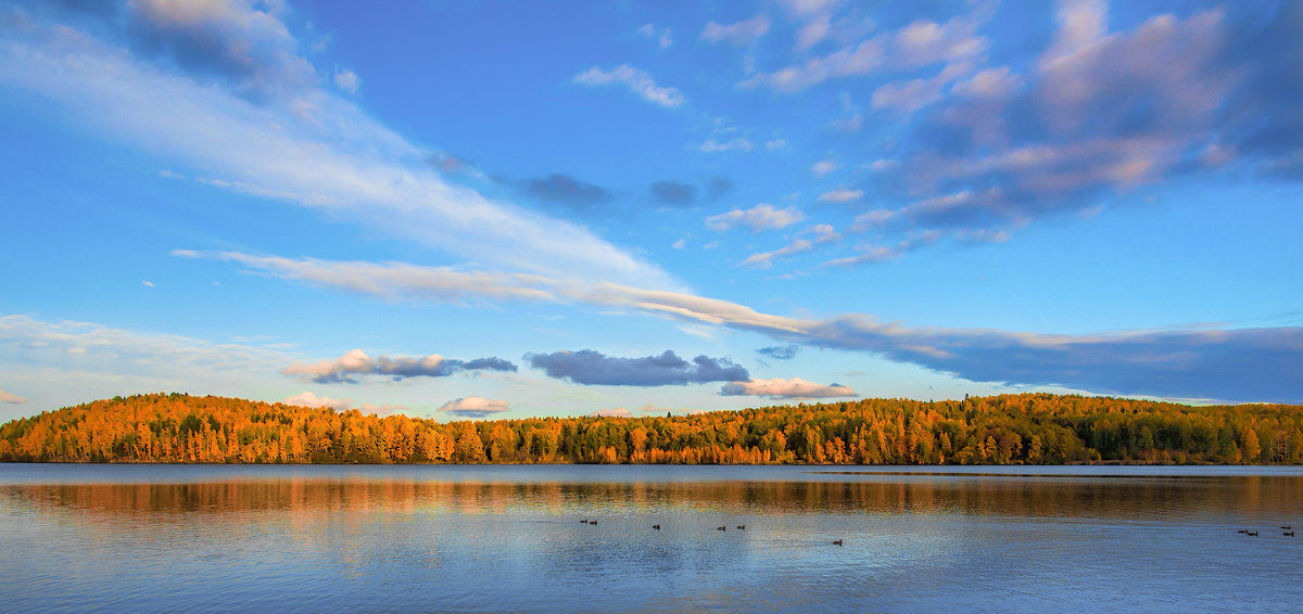 Осенняя панорама - vladimir Bormotov