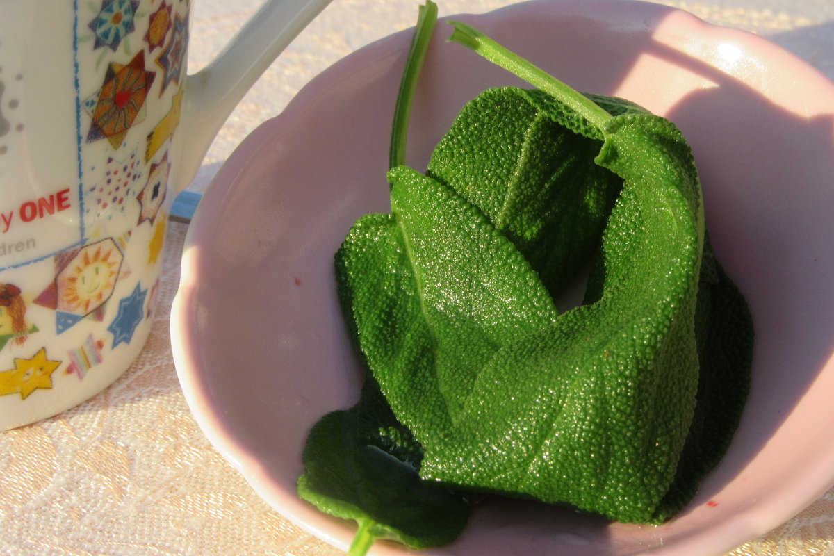 Чай с листочками  салвия - Mariya laimite