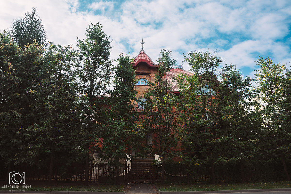 Природа в городе интересная - Александр Ребров