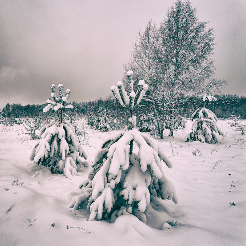 Winter&#39;s coming. - Андрий Майковский