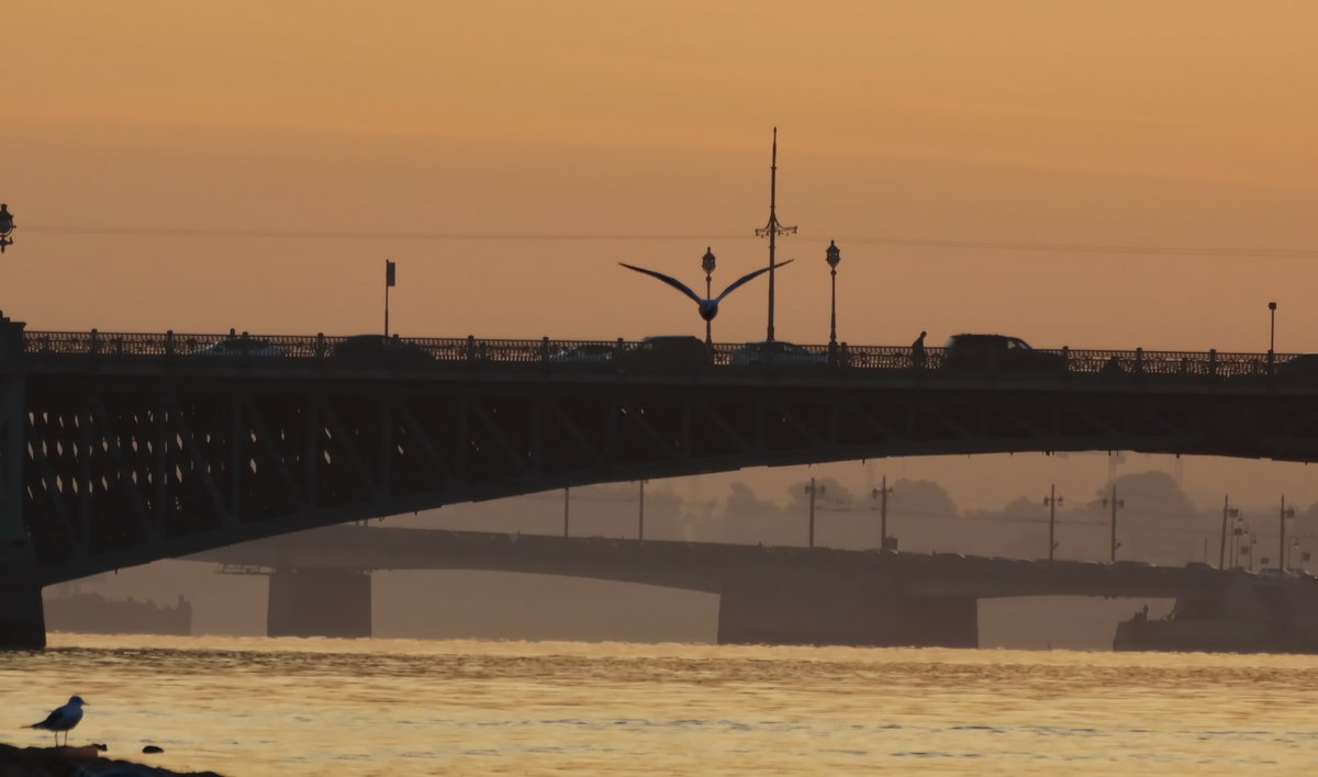 Летали утром над мостами - Владимир Гилясев