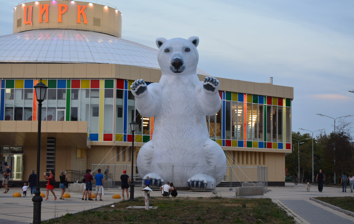 Новинка от рязанских скульптурных дизайнеров: 10-метровый белый медведь у входа в цирк - Александр Буянов