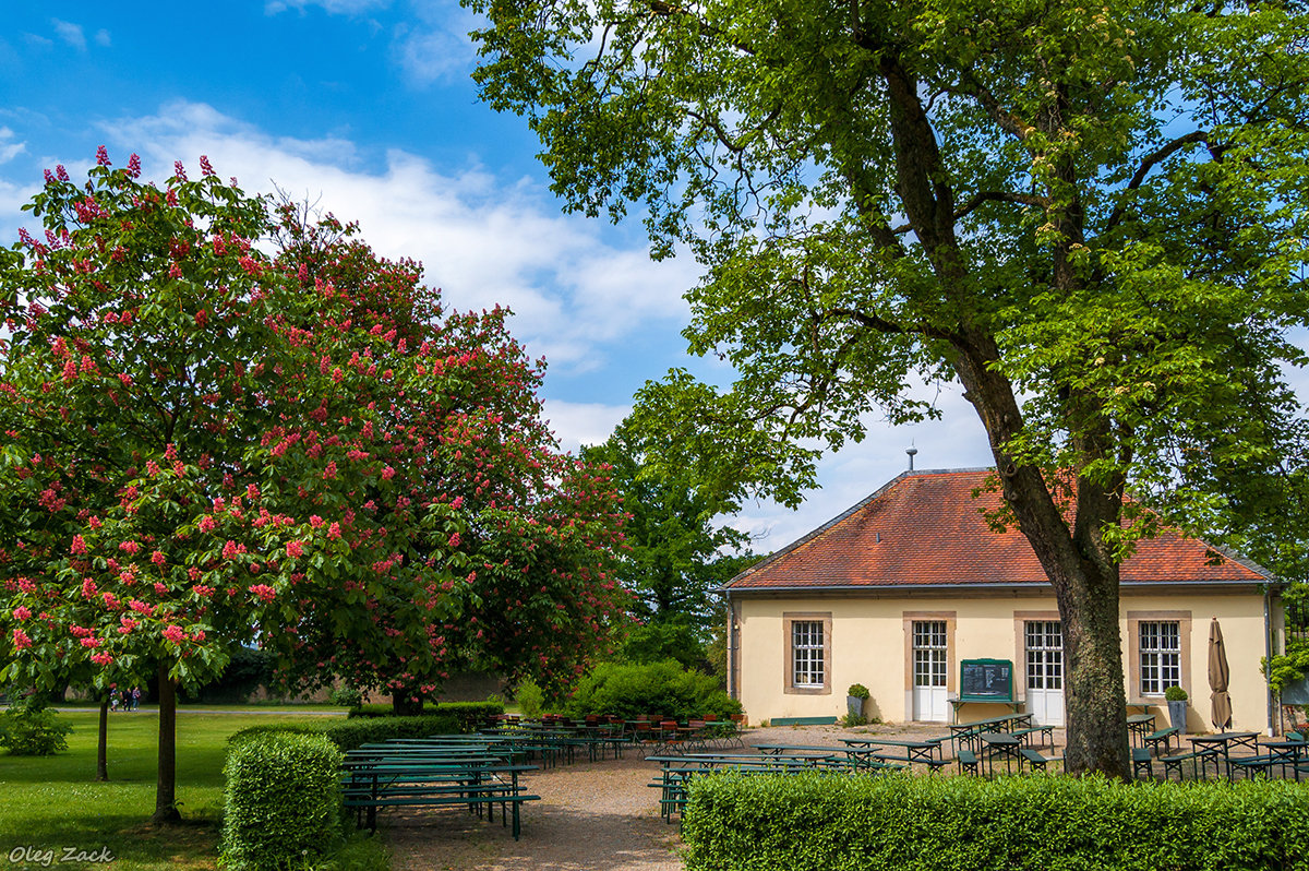 Schloss Fasanerie (замок Фазанери), Eihenzell - Олег Зак