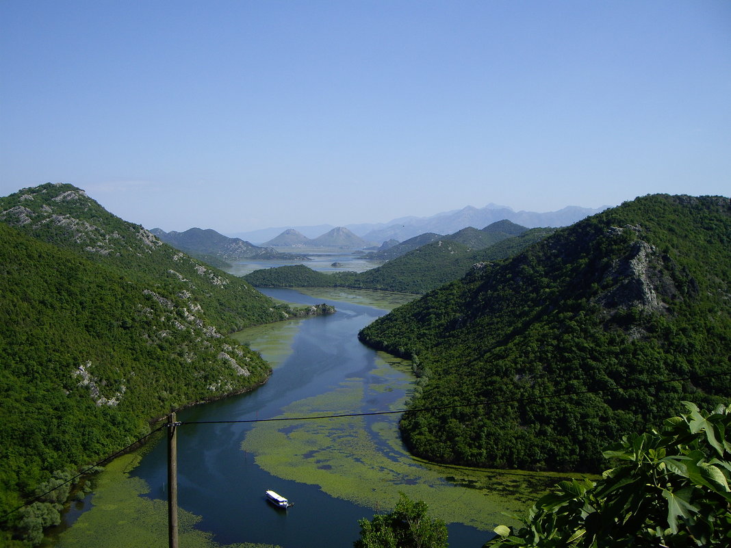 Река Цырнаевича впадает в Скадарское озеро-Черногория - Людмила 