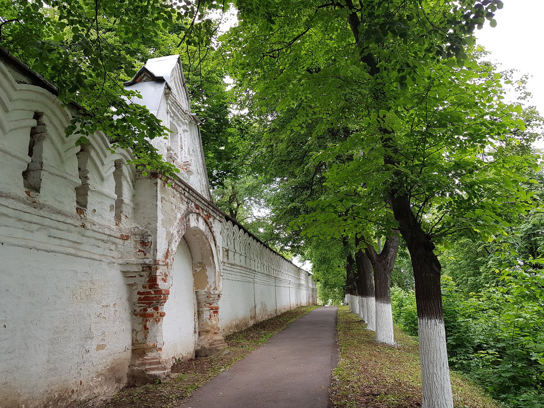 стена собора - Владимир 