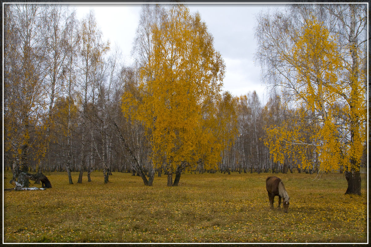 Унылая пора - Грег 