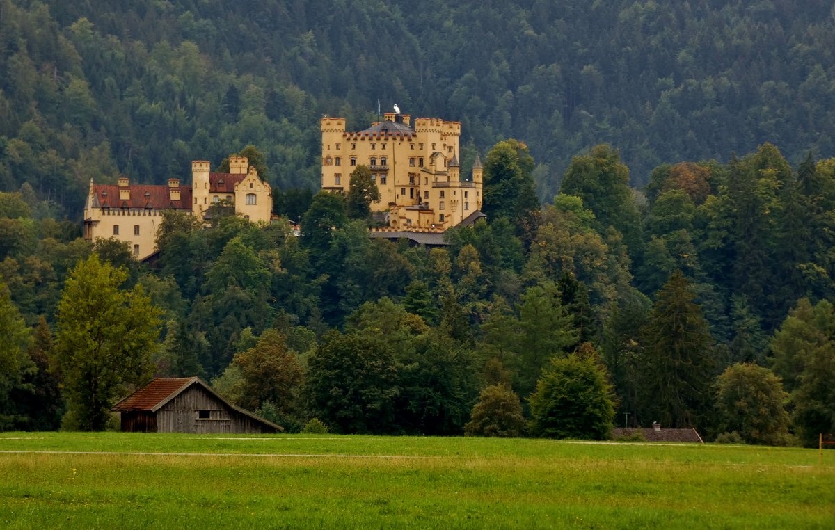 Замок Хоэншвангау - баварская сказка. - backareva.irina Бакарева