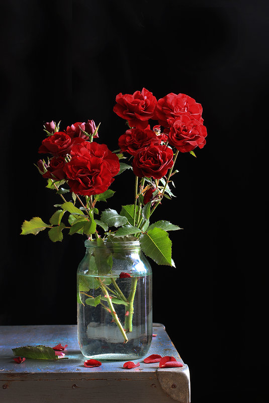 Красные розы - Татьяна Панчешная