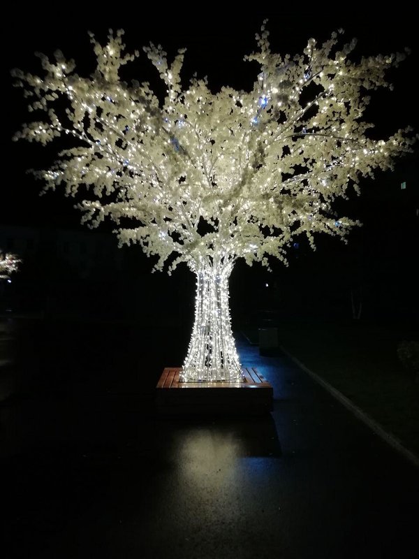 Светящееся дерево - Наталья Жукова