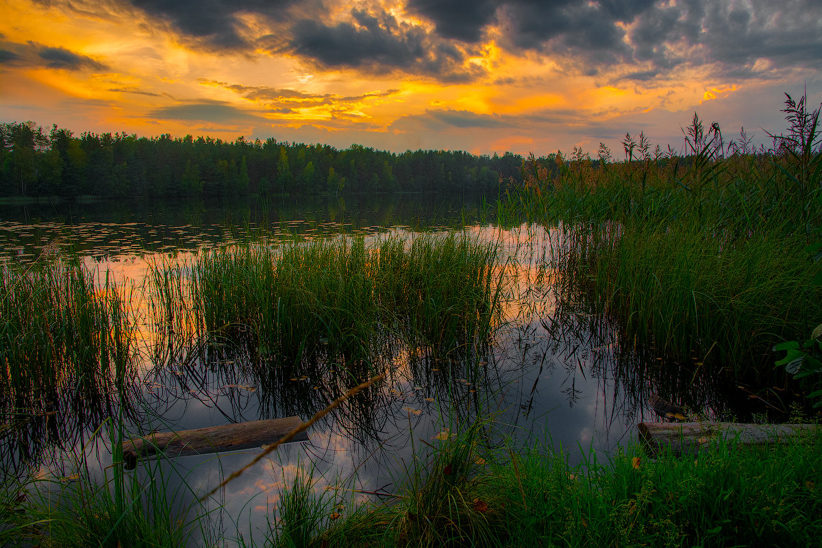 Озеро Малое Борково ,Ленинградская область - Дмитрий Рутковский
