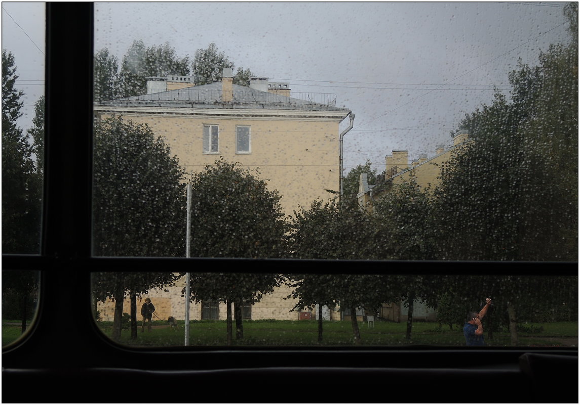 дождь за окном трамвая - sv.kaschuk 