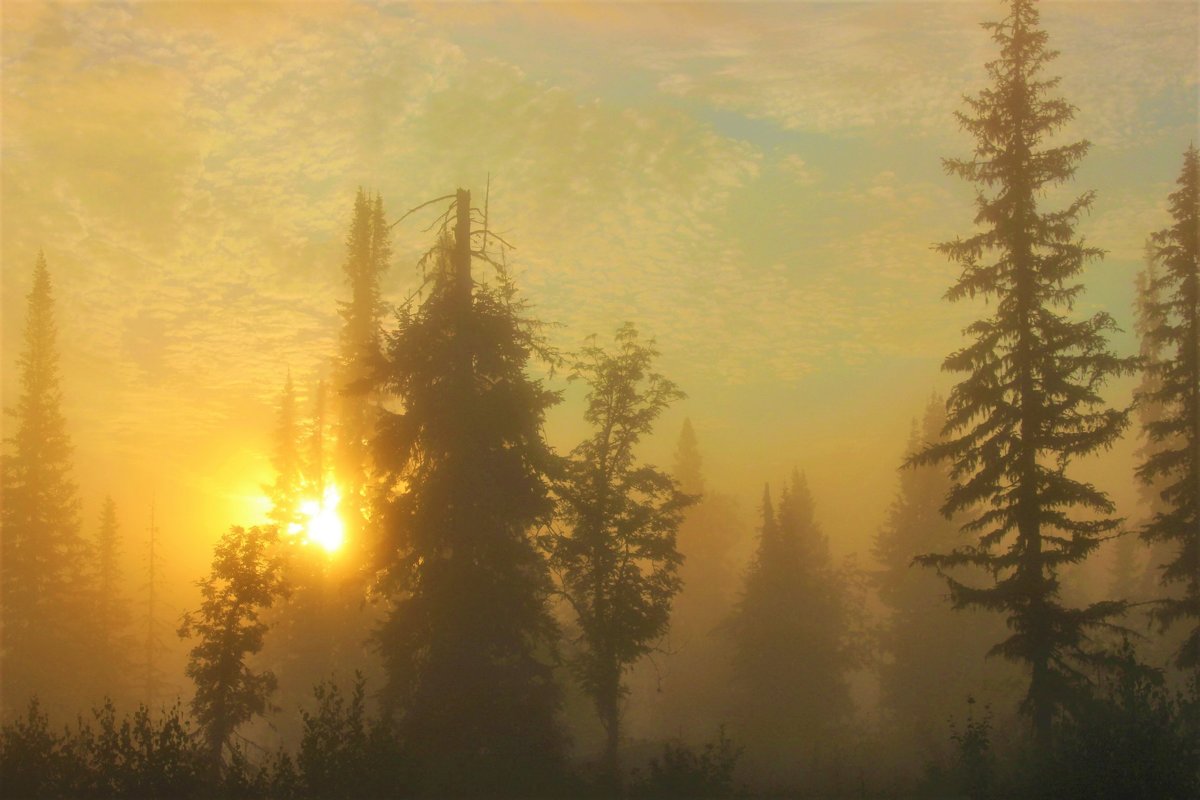 Восход в туманном мареве - Сергей Чиняев 