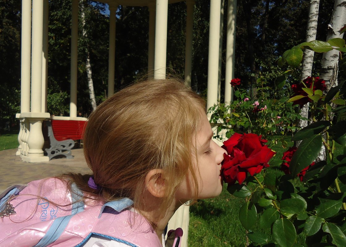 Вдыхая розы аромат - Ирина 