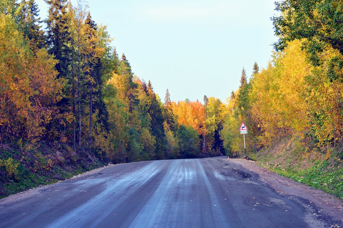 дорога в осень - vg154 