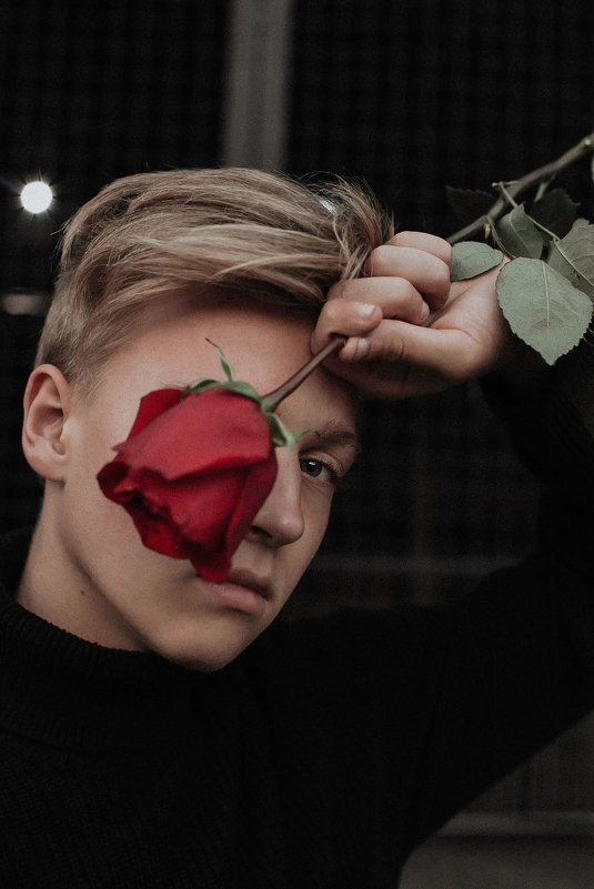 red rose - Светлана Гостева