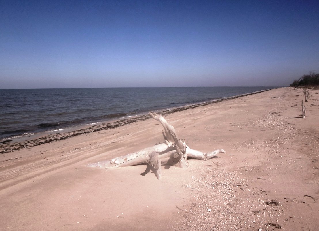 На песке, фигура от Природы - Сергей Анатольевич