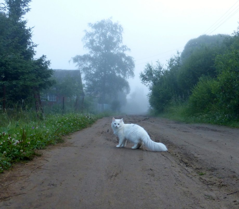 Утро в деревне - Елена Грошева