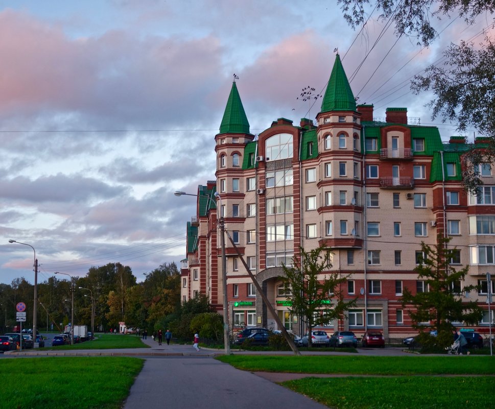 Дом с зелёными башнями в пушкине - Елена 