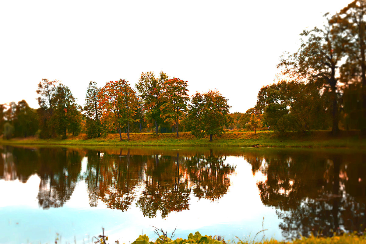 осенний пейзаж в парке у пруда - Танзиля Завьялова